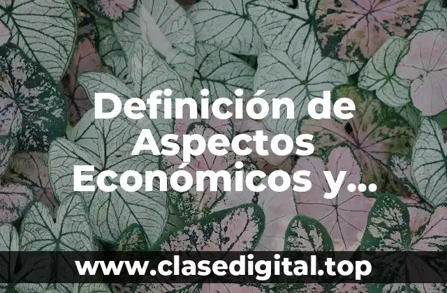 Definición de Aspectos Económicos y Financieros