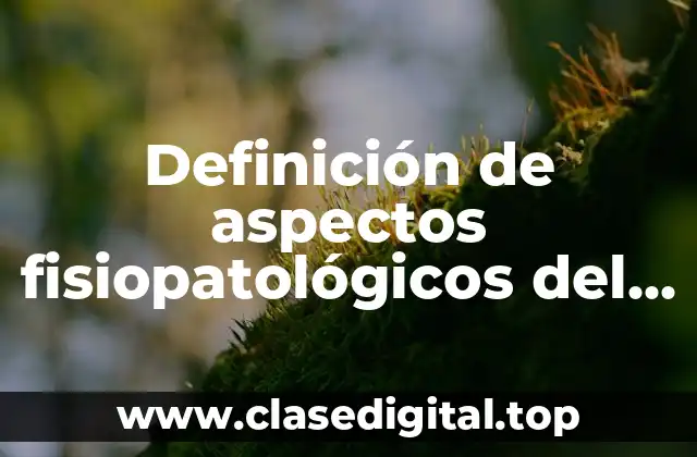Definición de aspectos fisiopatológicos del riñón