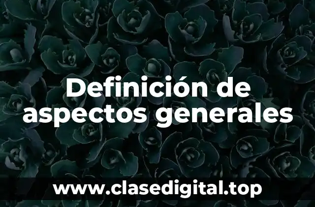 Definición de aspectos generales