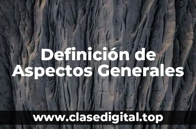Definición Técnica de Aspectos Generales