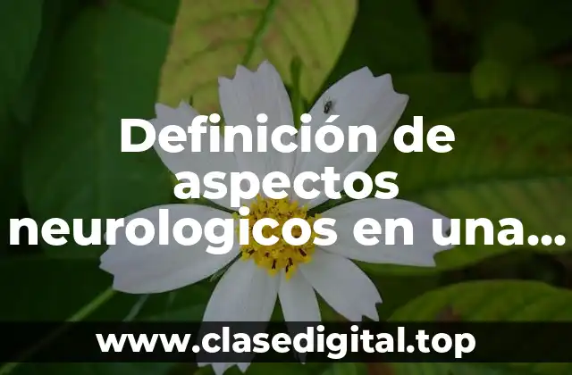 Definición de aspectos neurologicos en una persona