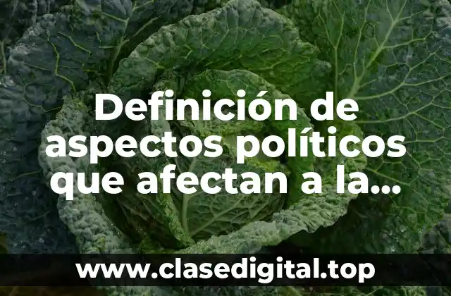 Definición de aspectos políticos que afectan a la organización