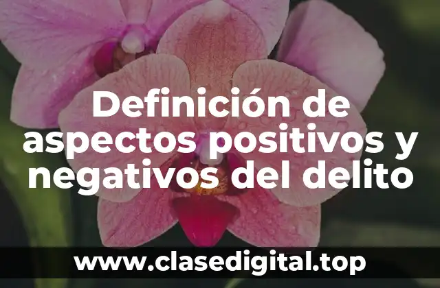 Definición de aspectos positivos y negativos del delito