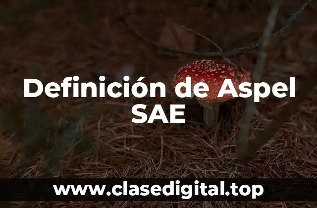 Definición de Aspel SAE