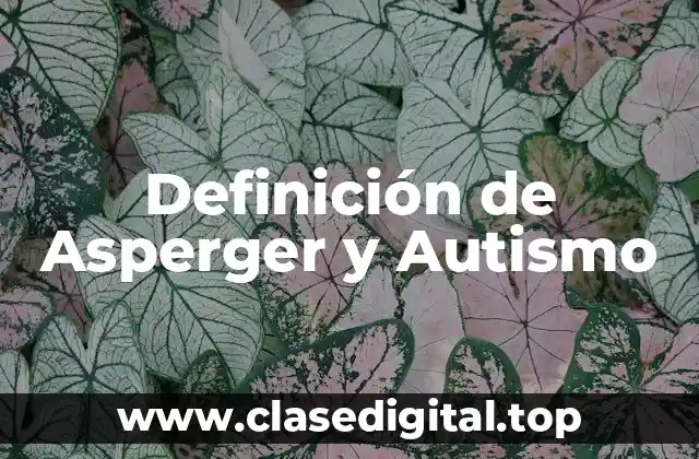 Definición de Asperger y Autismo
