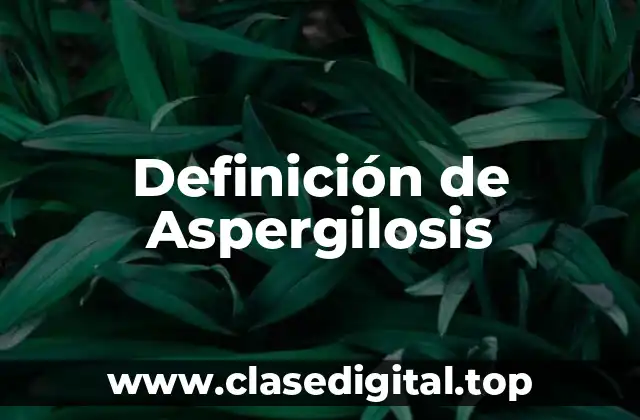 Definición de Aspergilosis
