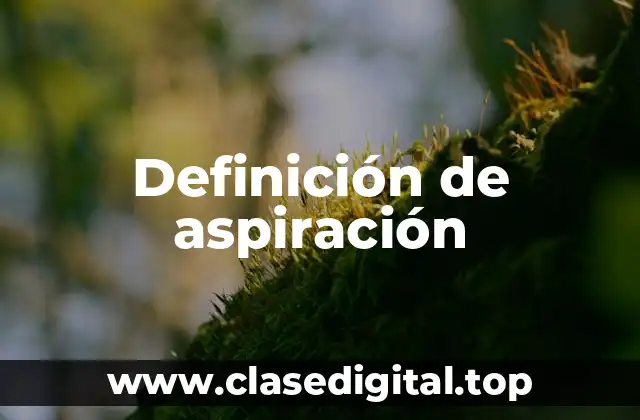 Definición de aspiración