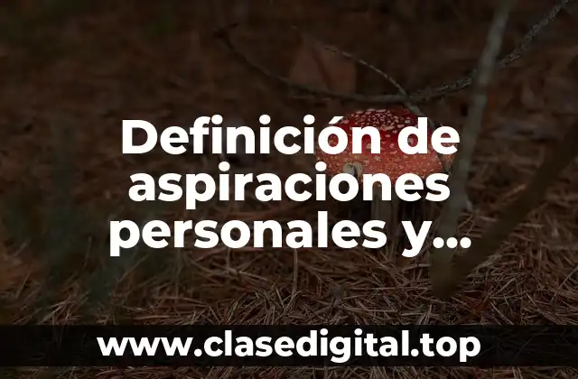 Definición de aspiraciones personales y laborales