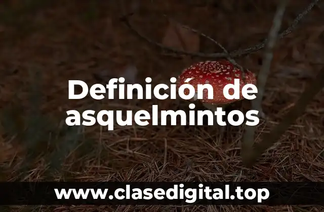 Definición de asquelmintos