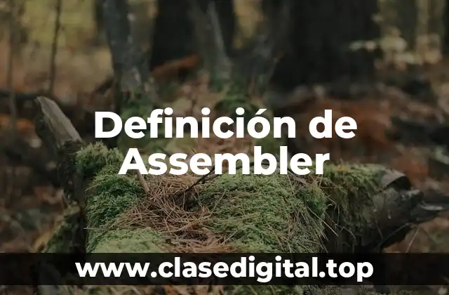 Definición de Assembler