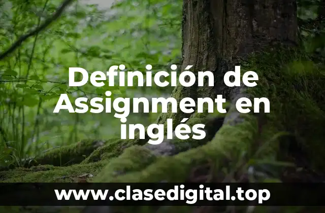 Definición de Assignment en inglés
