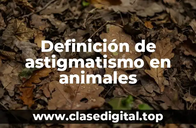 Definición de astigmatismo en animales