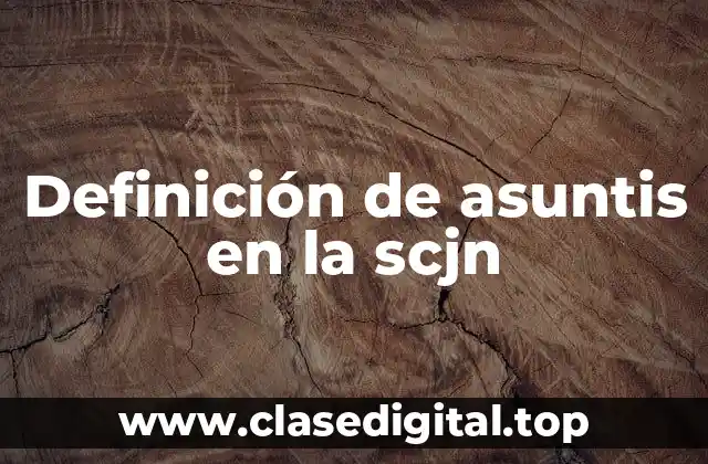 Definición de asuntis en la scjn