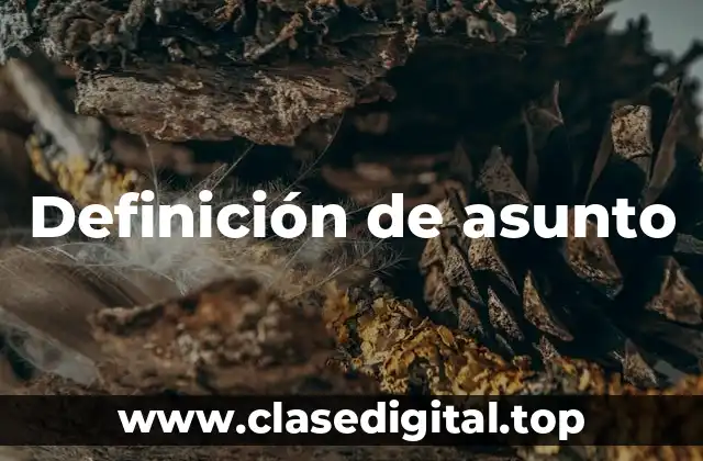 Definición de asunto