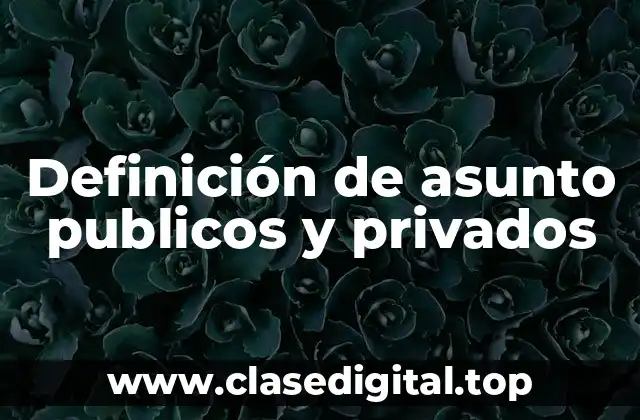 Definición de asunto publicos y privados