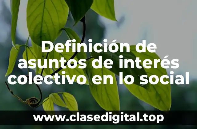 Definición de asuntos de interés colectivo en lo social