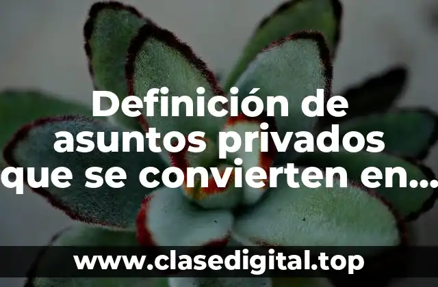 Definición de asuntos privados que se convierten en públicos