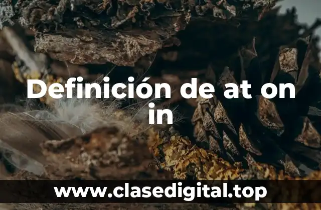 Definición de at on in