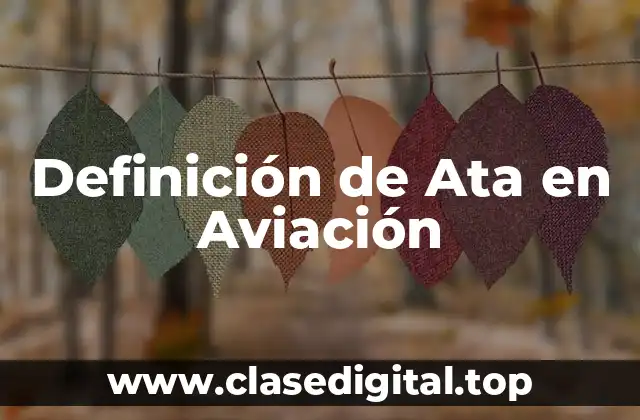 Definición Técnica de Ata en Aviación