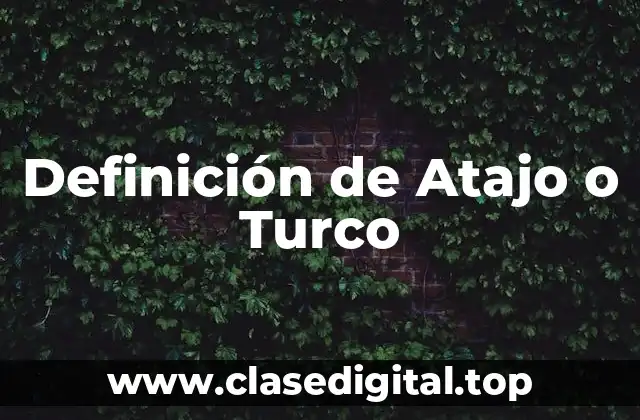 Definición de Atajo o Turco