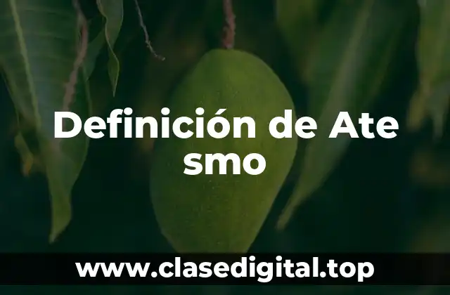 Definición de Ate smo
