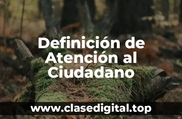 Definición de Atención al Ciudadano