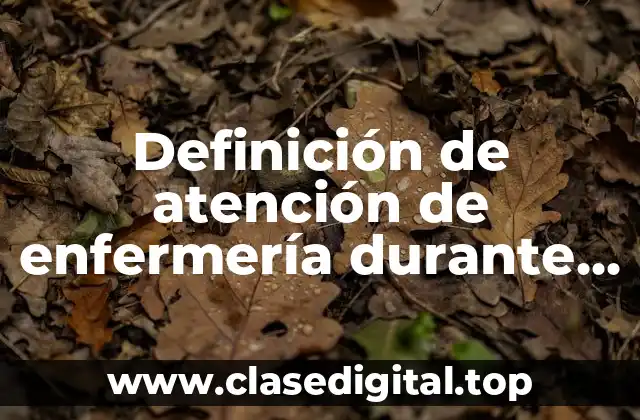 Definición técnica de atención de enfermería durante el parto