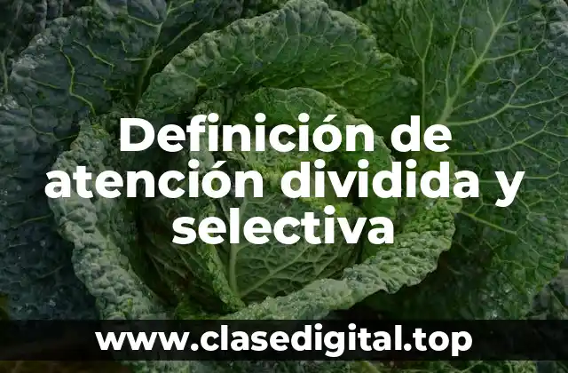 Ejemplos de atención dividida y selectiva