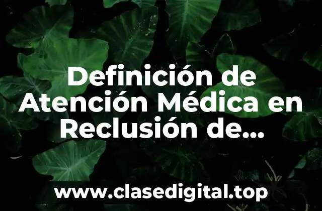 Definición de Atención Médica en Reclusión de Mujeres