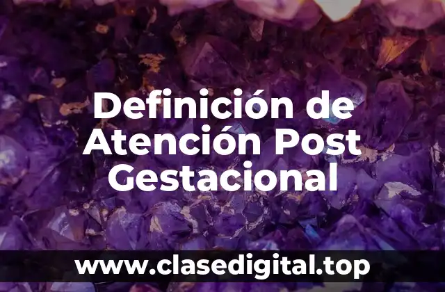 Definición de Atención Post Gestacional