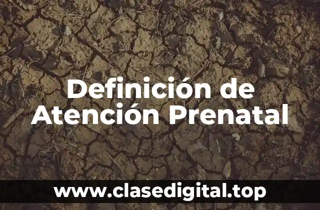 Definición de Atención Prenatal