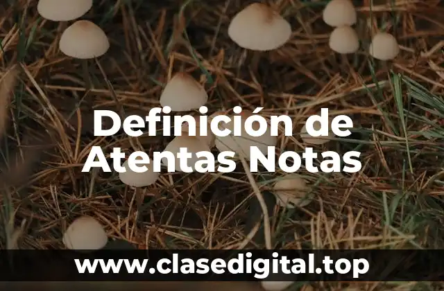 Definición de Atentas Notas