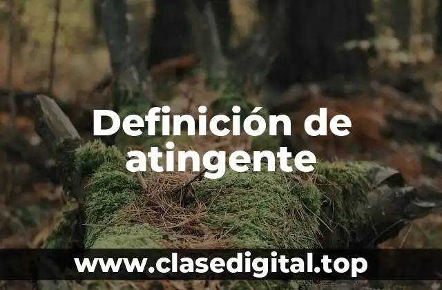 Definición técnica de atingente