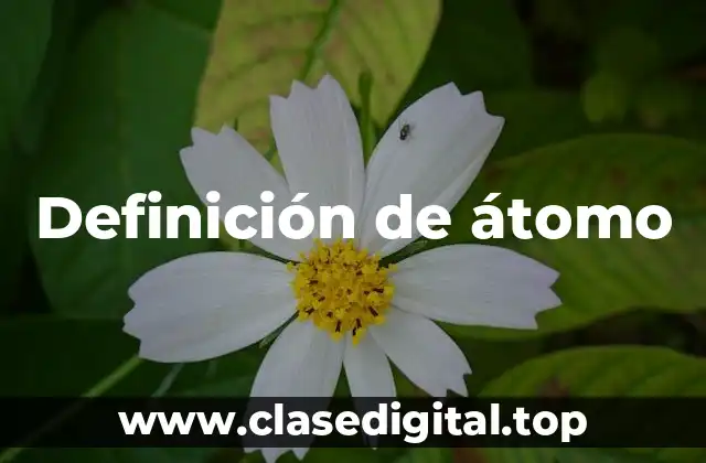 Definición de átomo