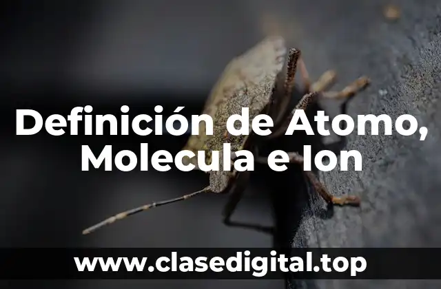 Definición de Atomo, Molecula e Ion