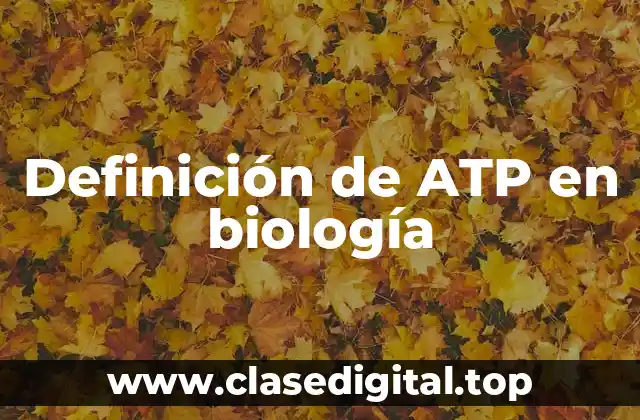 Ejemplos de ATP