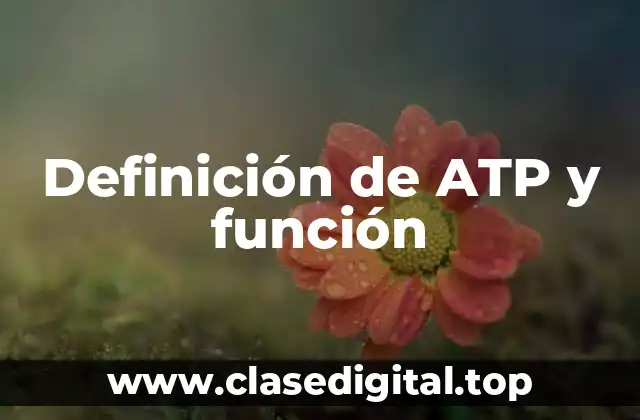 Definición de ATP y función