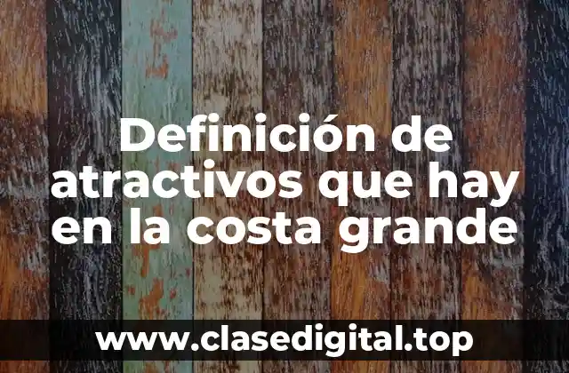 Definición de atractivos que hay en la costa grande