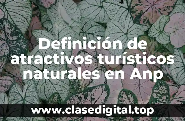 Definición de atractivos turísticos naturales en Anp