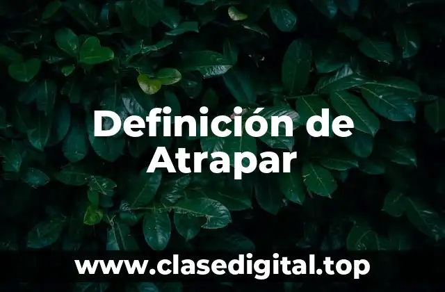 Definición de Atrapar