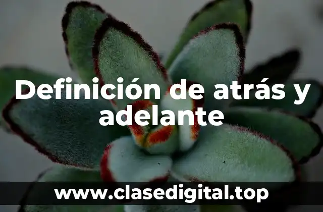 Definición de atrás y adelante