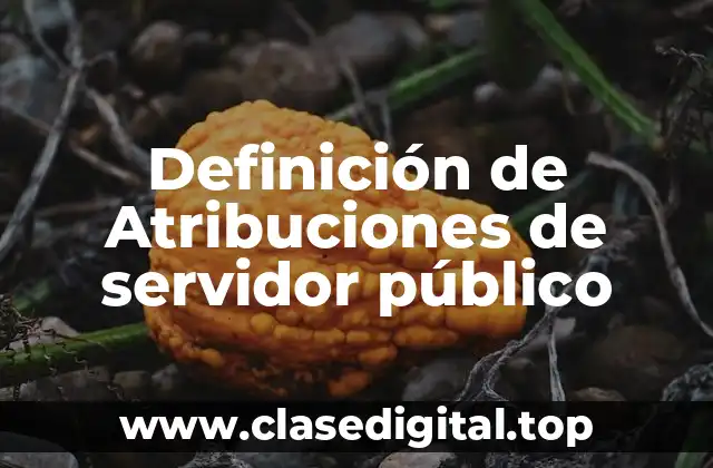 Definición de Atribuciones de servidor público