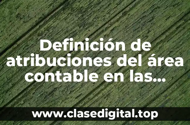 Definición de atribuciones del área contable en las instituciones públicas