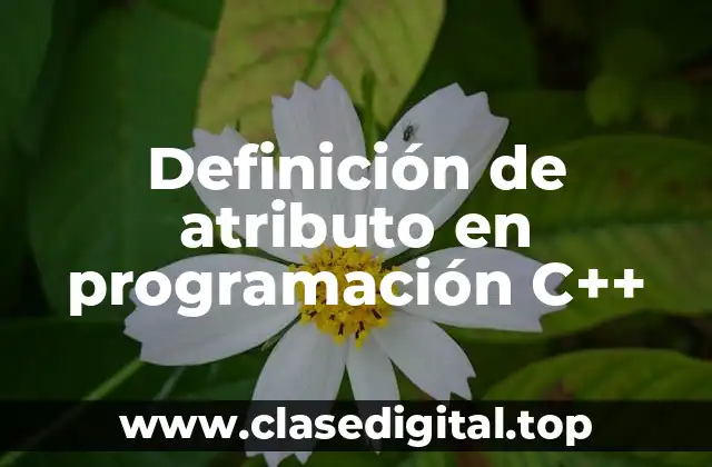 Definición de atributo en programación C++