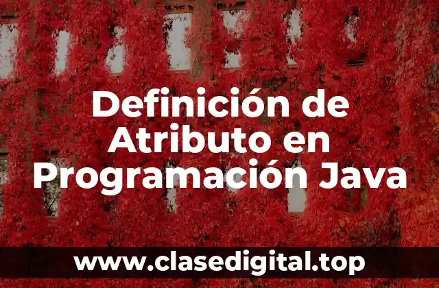 Definición de Atributo en Programación Java
