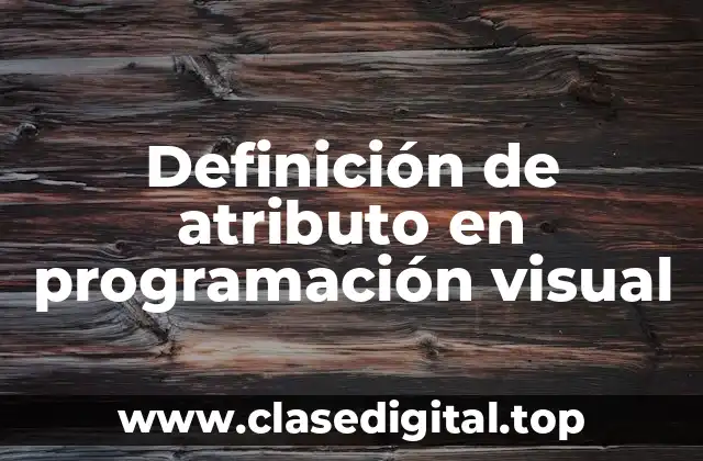 Definición de atributo en programación visual