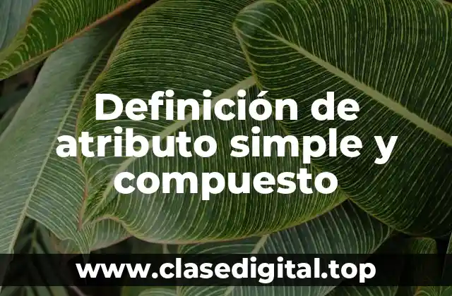 Definición de atributo simple y compuesto