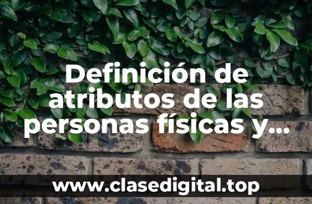 Definición de atributos de las personas físicas y morales
