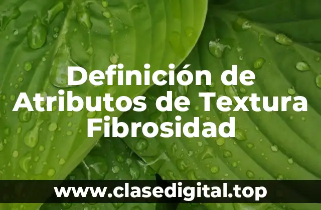 Definición de Atributos de Textura Fibrosidad