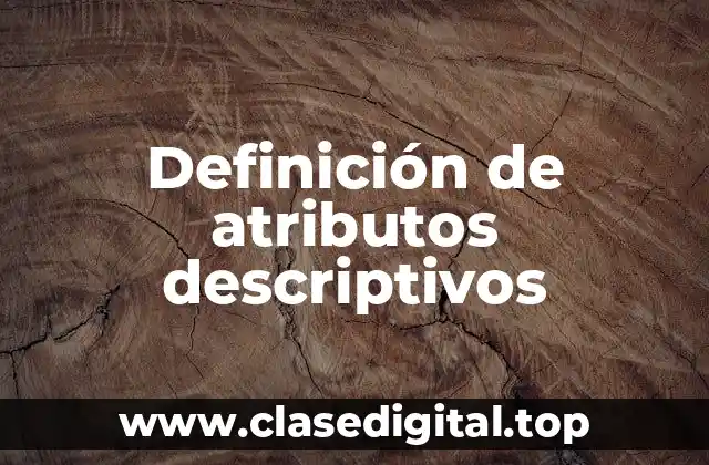 Definición de atributos descriptivos